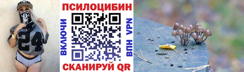 даркнет какой сайт  Нижний Тагил  Псилоцибиновые грибы Psilocybe 