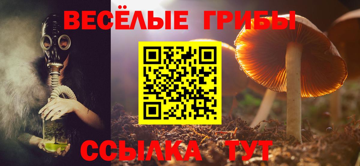 Галлюциногенные грибы Psilocybe Нижний Тагил